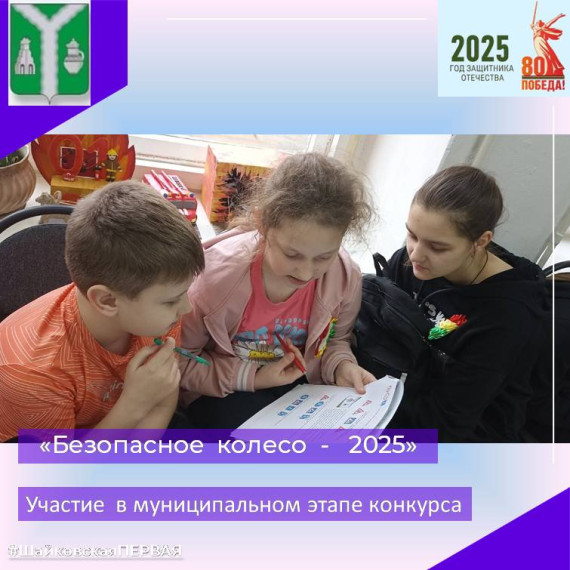 Безопасное колесо. Муниципальный этап.