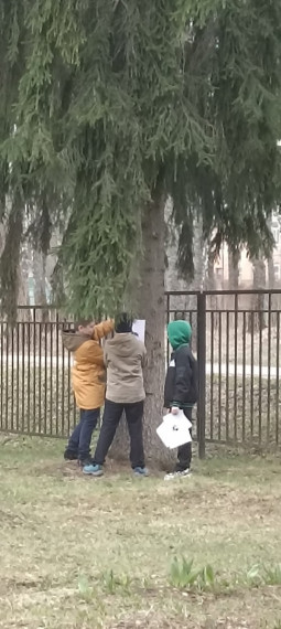 Творческая фотоохота. Природа через трафарет..